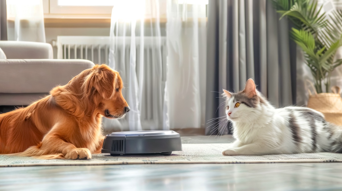 Best Robot Vacuum for Pet Hair (2026)
