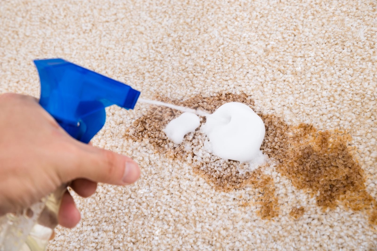 person cleaning a carpet with spray