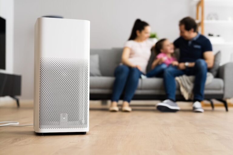 dehumidifier vs air purifier modern health technology
