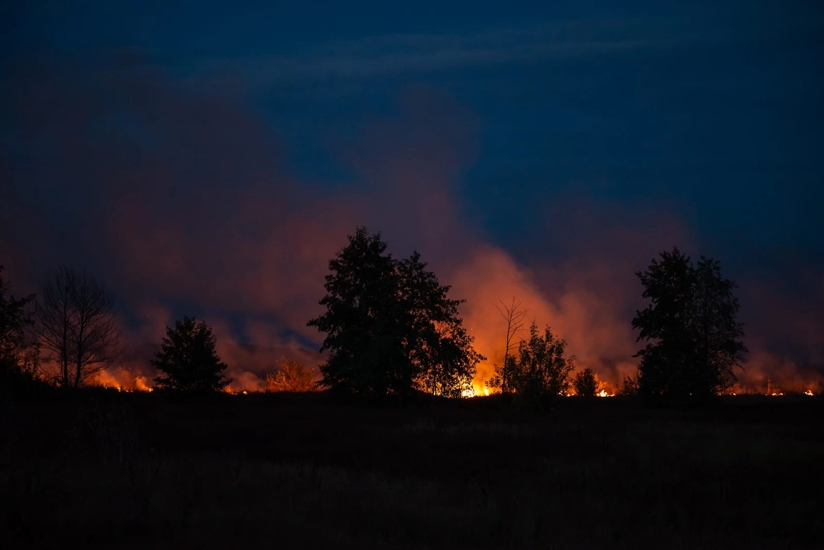 wildfire in countryside