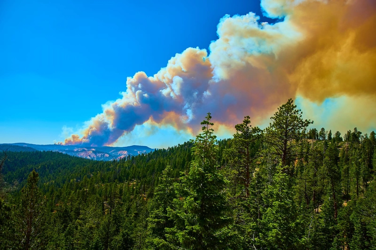 wildfire smoke over pine forest scenic drive bryce canyon national park utah